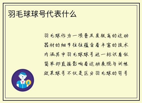 羽毛球球号代表什么